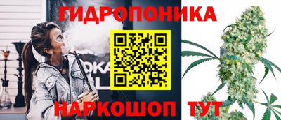 a pvp Шелехов