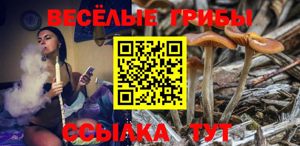 Псилоцибиновые грибы Psilocybe Фролово