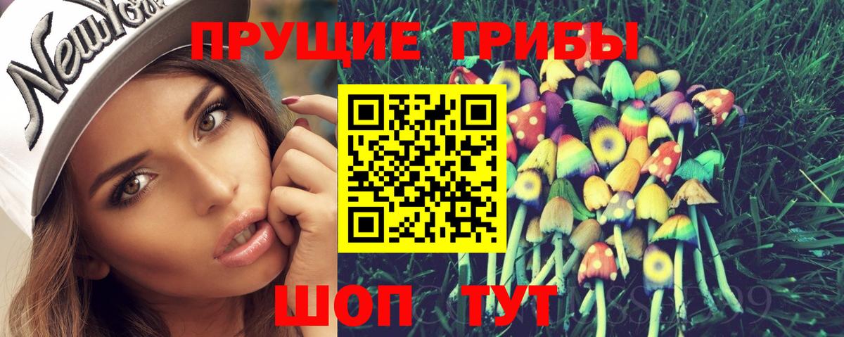купить закладку  Псилоцибиновые грибы прущие грибы  Вход с VPN  Псилоцибиновые грибы мицелий  Фролово 